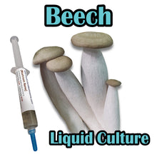 Load image into Gallery viewer, Beech (Hypsizygus tessulatus) Liquid Culture
