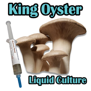 King Oyster (Pleurotus eryngii) Commercial Liquid Culture