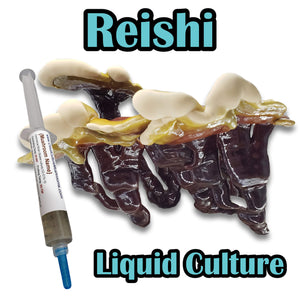 Reishi (Ganoderma lucidum) Commercial Liquid Culture