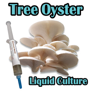 Tree Oyster (Pleurotus ostreatus) Liquid Culture
