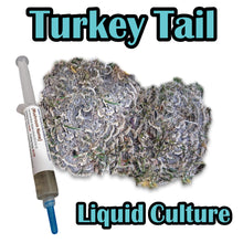Load image into Gallery viewer, Turkey Tail (Trametes versicolor) Liquid Culture
