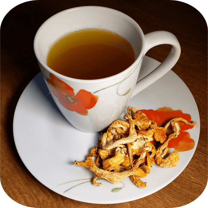 Cordyceps Militaris Mushroom Tea Recipe