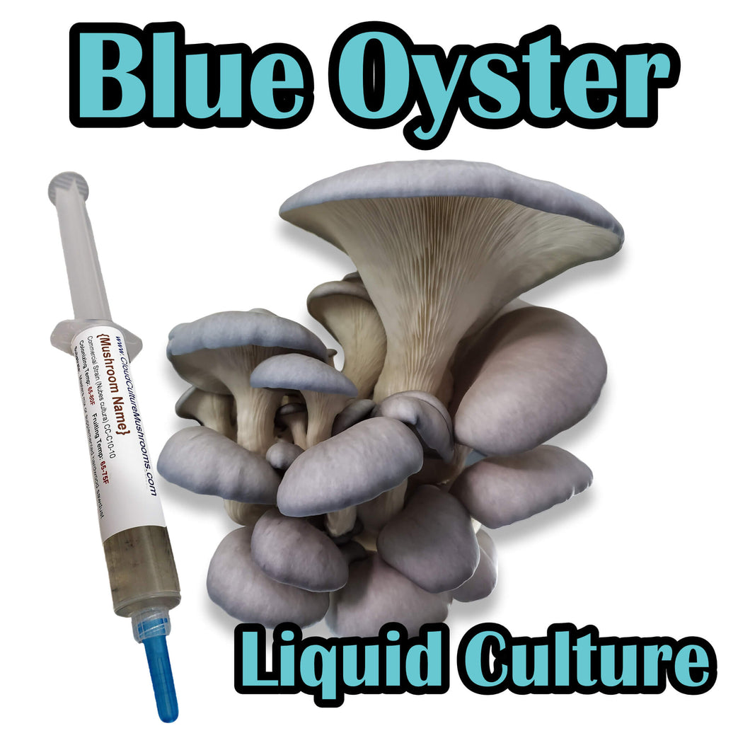 Blue Oyster (Pleurotus ostreatus) Commercial Liquid Culture