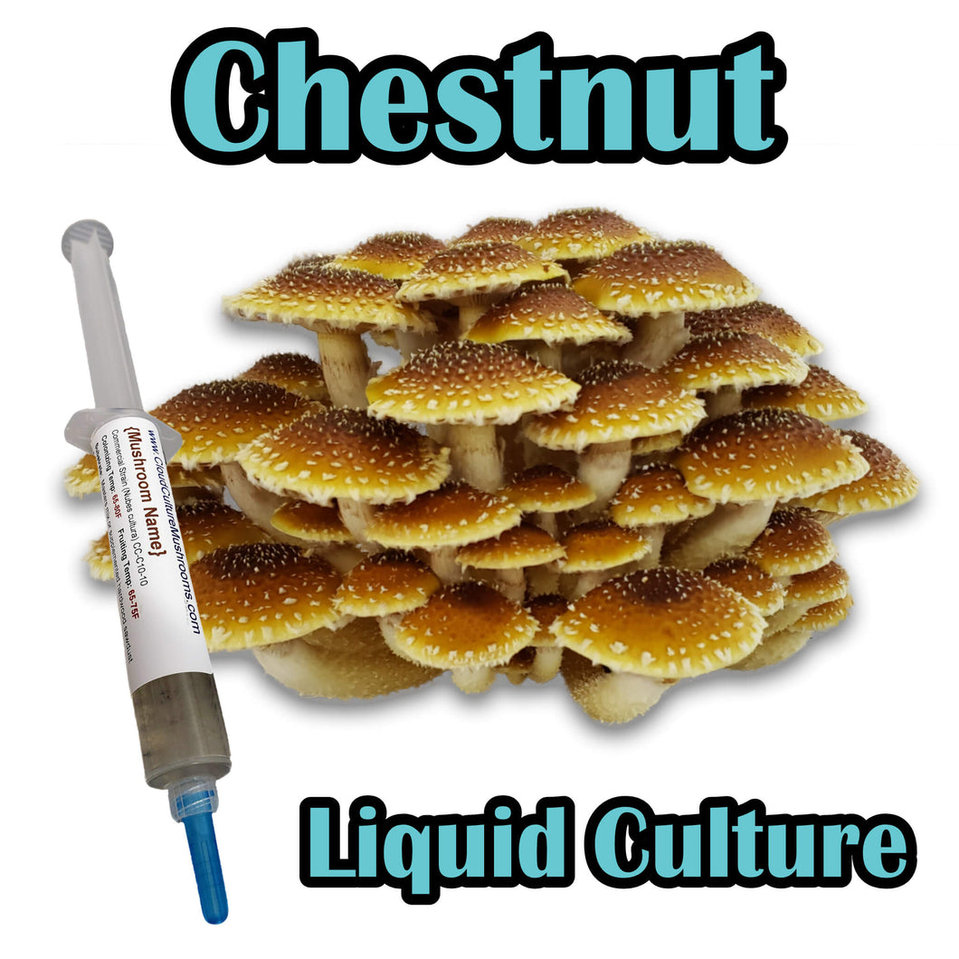 Chestnut (Pholiota adiposa) Commercial Liquid Culture