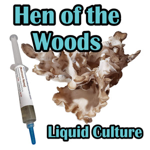 Hen of the Woods (Grifola frondosa) Liquid Culture
