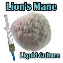 Load image into Gallery viewer, Lion&#39;s Mane (Hericium erinaceus) Liquid Culture
