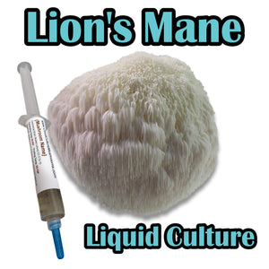 Lion's Mane (Hericium erinaceus) Liquid Culture