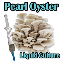Load image into Gallery viewer, Pearl Oyster WPO (Pleurotus ostreatus) Commercial Liquid Culture
