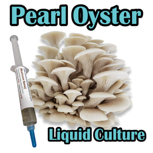 Pearl Oyster WPO (Pleurotus ostreatus) Commercial Liquid Culture