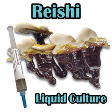 Load image into Gallery viewer, Reishi (Ganoderma lucidum) Commercial Liquid Culture
