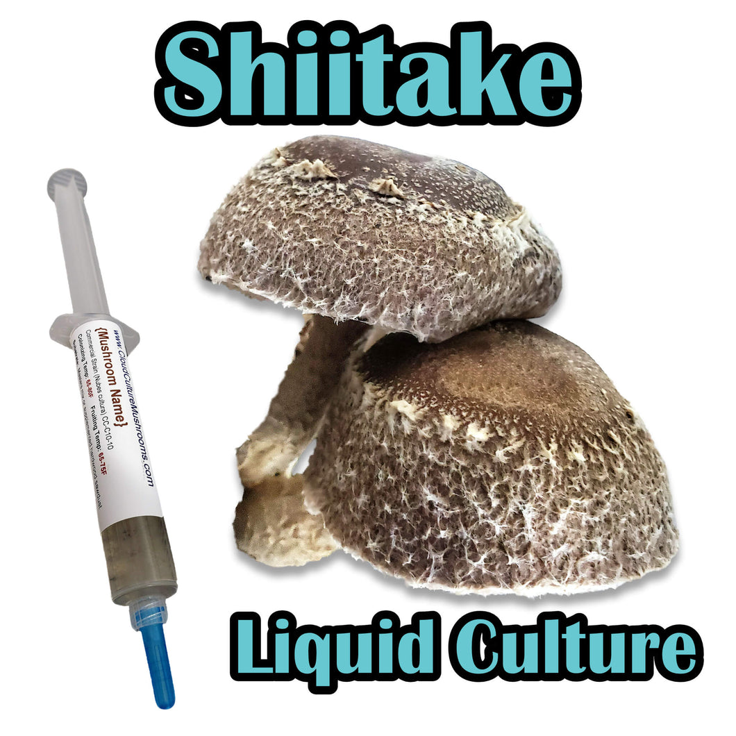 Shiitake Block WR (Lentinula edodes) (Wide temp range) Commercial Liquid Culture