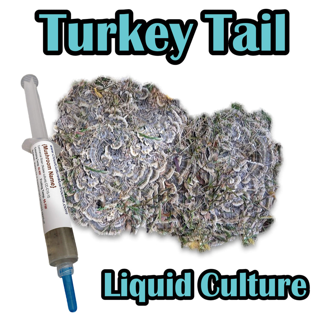 Turkey Tail (Trametes versicolor) Liquid Culture