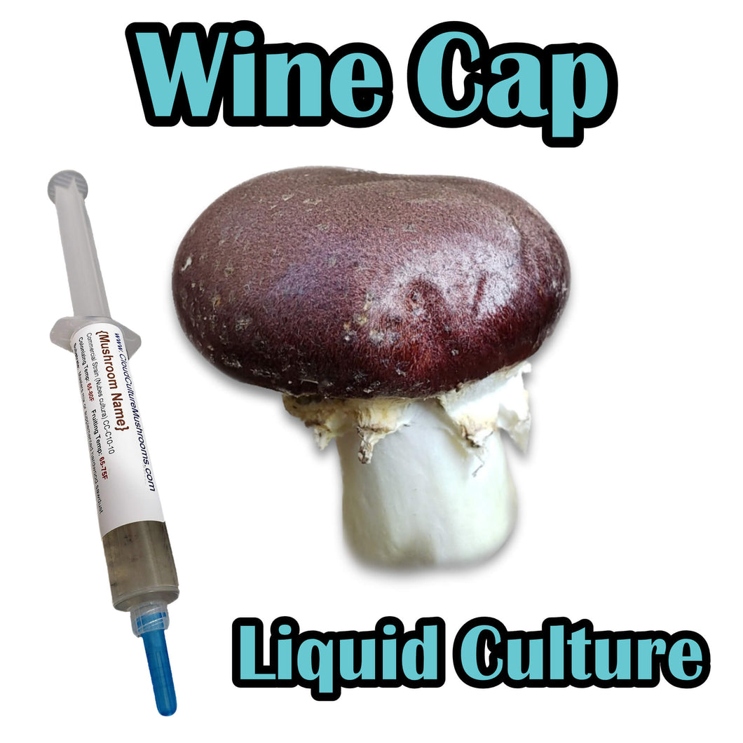 Wine Cap (Stropharia rugoso-annulata) Liquid Culture